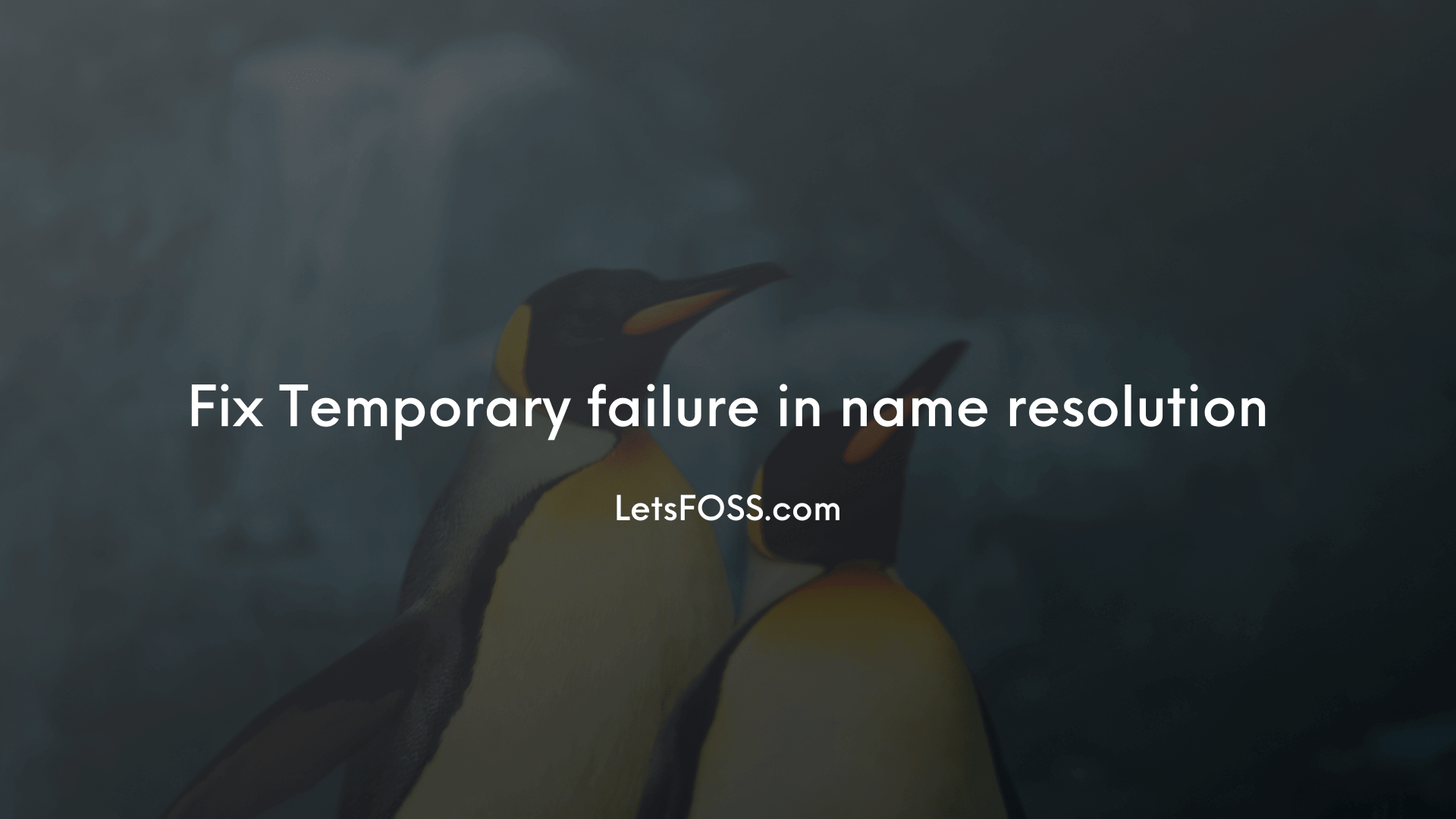 Temporary failure in name resolution