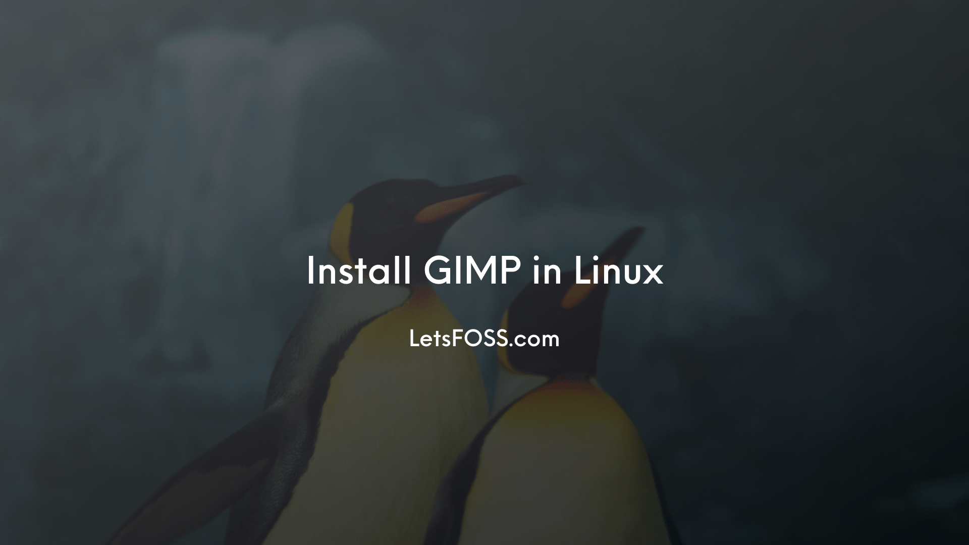 Install GIMP in Linux