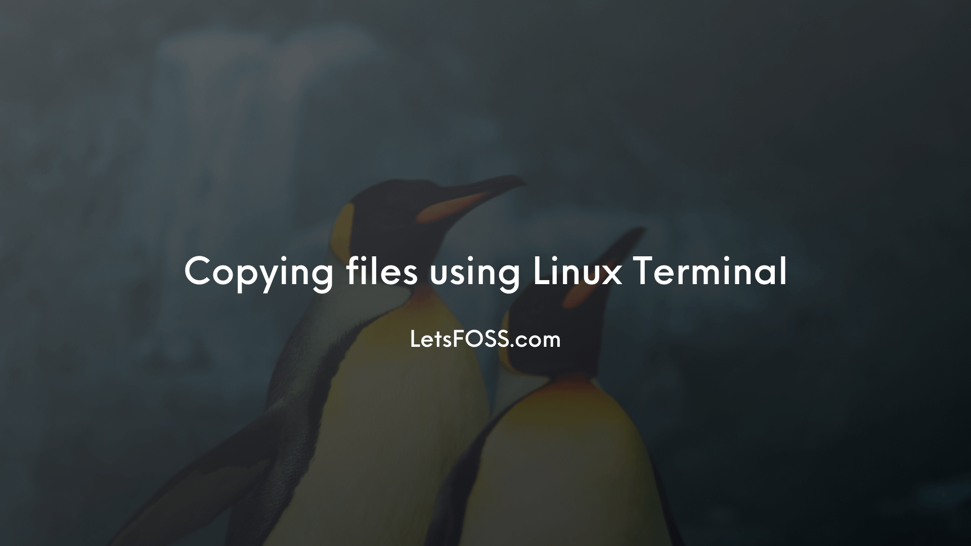 Copying files in Linux